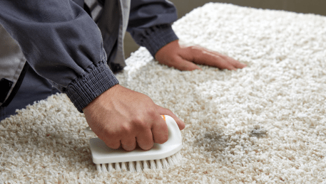 Professional Rug Cleaning Albanvale